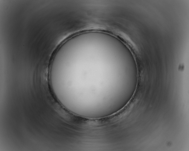 X0000103261220200809051435