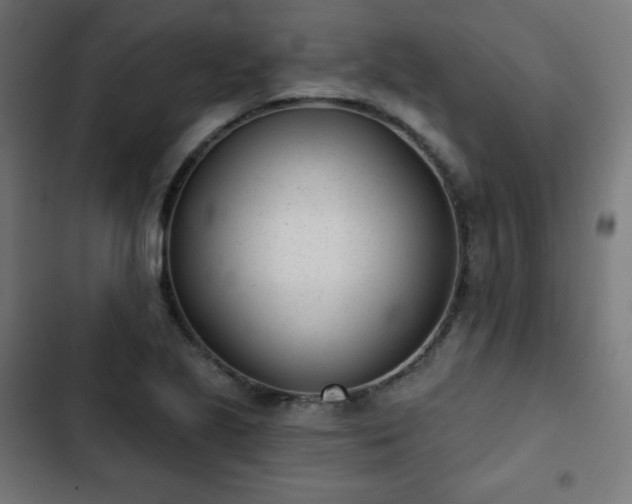 X0000103261221200809051435