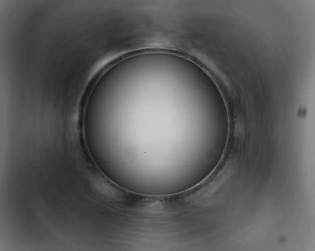 X0000103261222200809051435