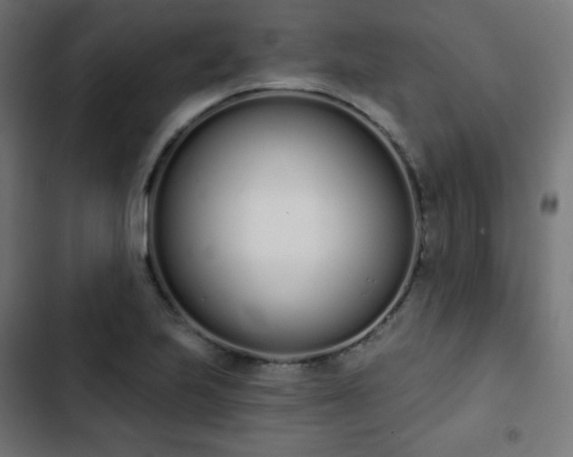 X0000103261223200809051435