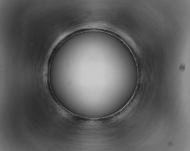 X0000103261224200809051435