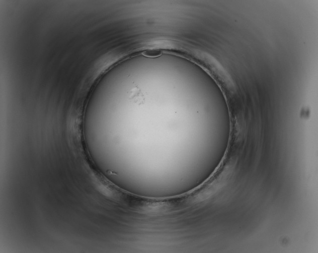 X0000103261225200809051435