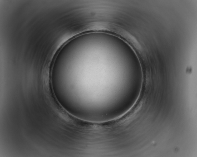 X0000103261226200809051435