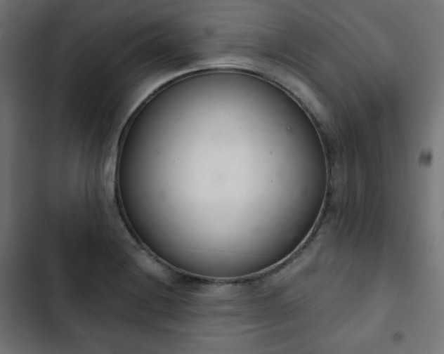 X0000103261228200809051436