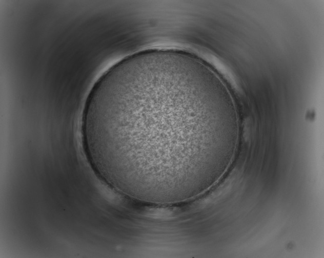 X0000103261229200809051436