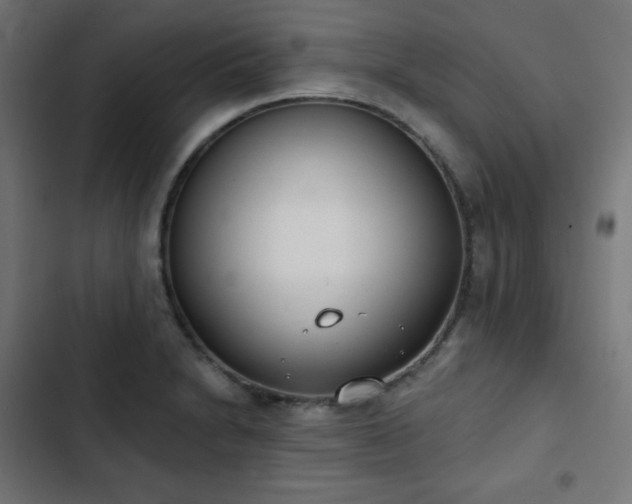 X0000103261230200809051436