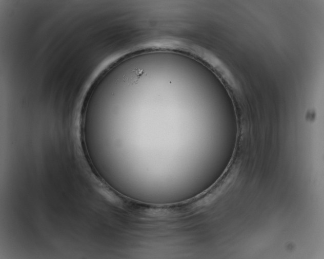 X0000103261232200809051436