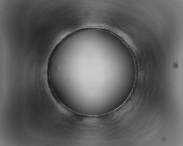 X0000103261237200809051436