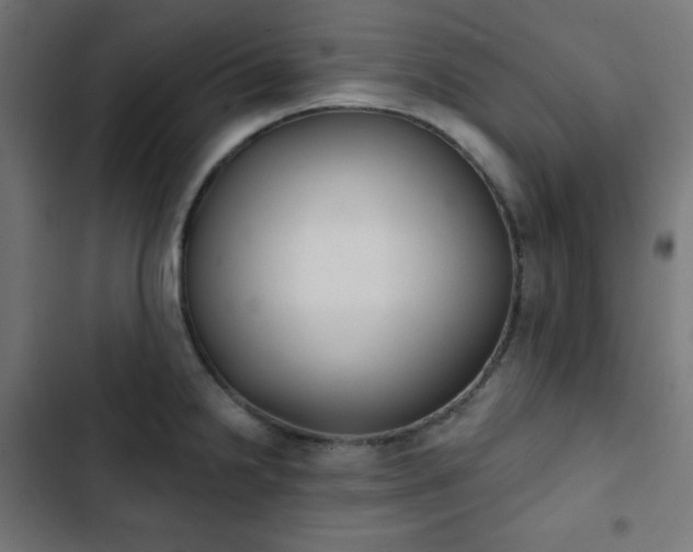 X0000103261238200809051436