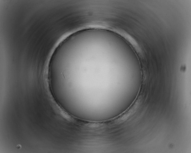 X0000103261240200809051436