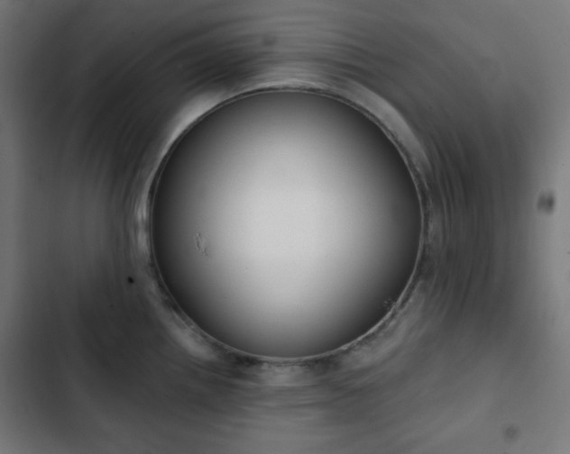 X0000103261242200809051436