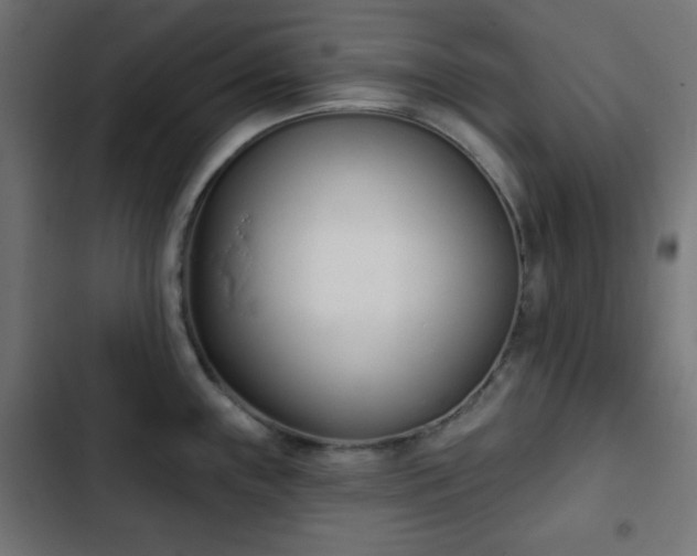 X0000103261243200809051436