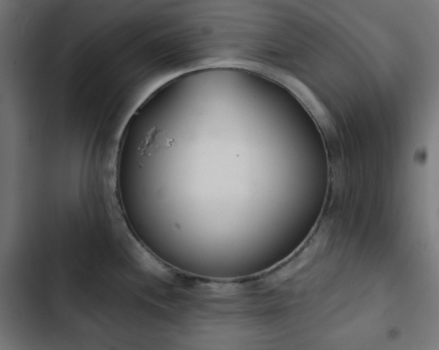 X0000103261244200809051436