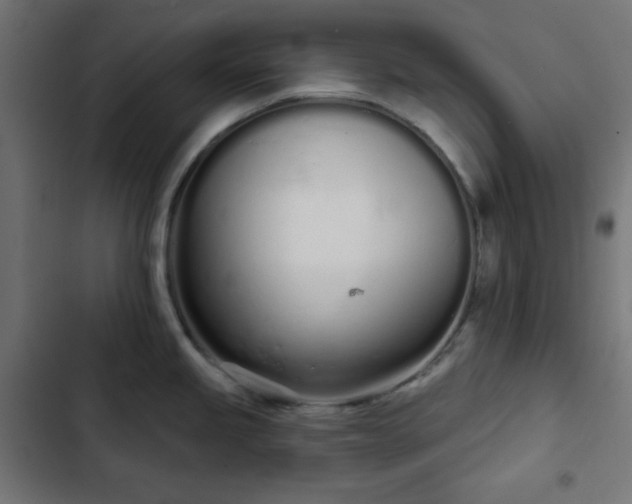 X0000103261245200809051436