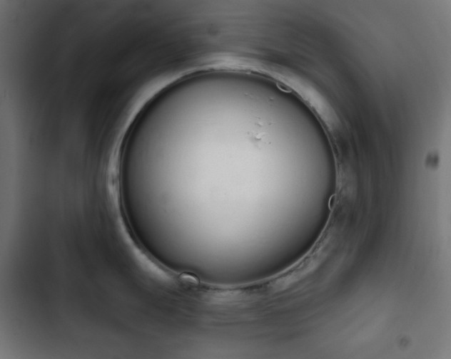 X0000103261247200809051436