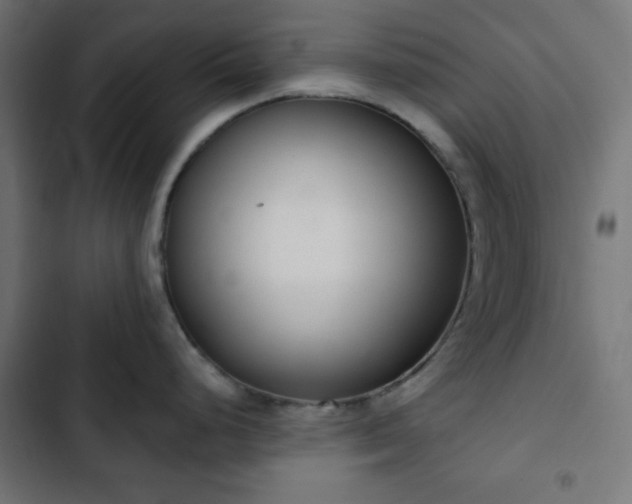 X0000103261248200809051436