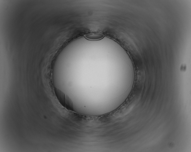 X0000103261249200809051435