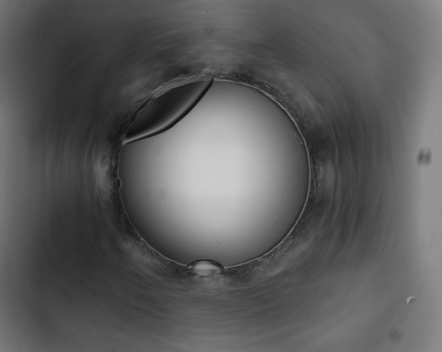 X0000103261250200809051435