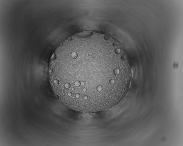 X0000103261251200809051435