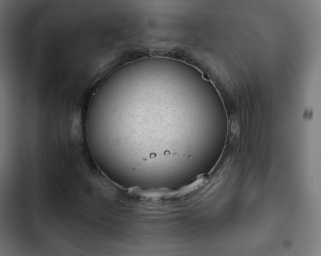 X0000103261252200809051435