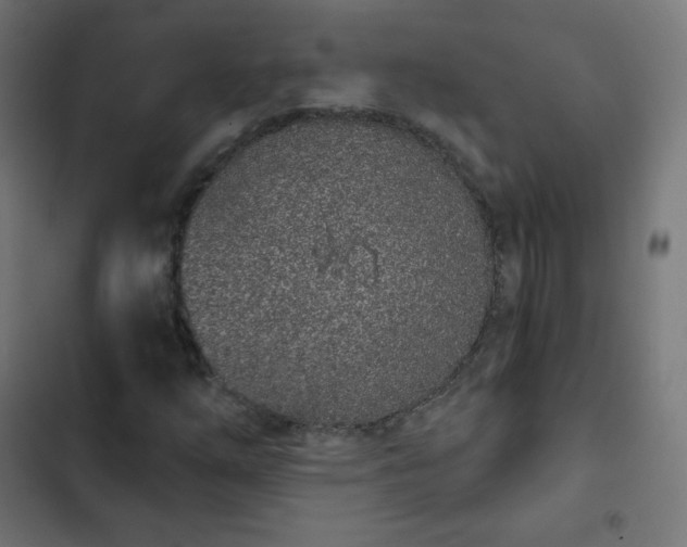 X0000103261254200809051435