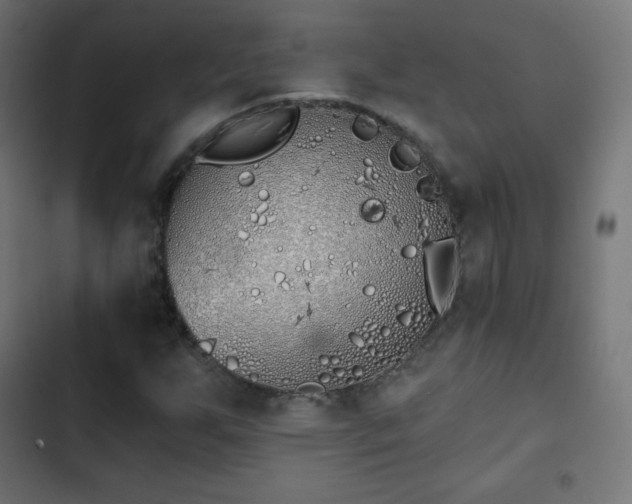 X0000103261255200809051435