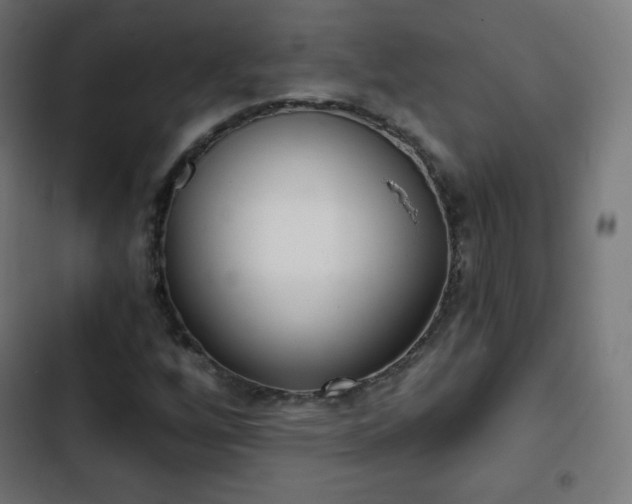 X0000103261256200809051435