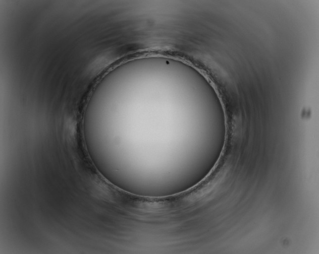 X0000103261257200809051435