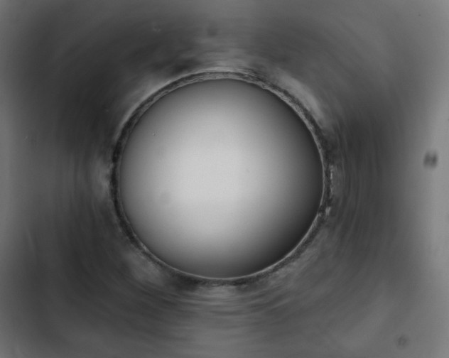 X0000103261260200809051435