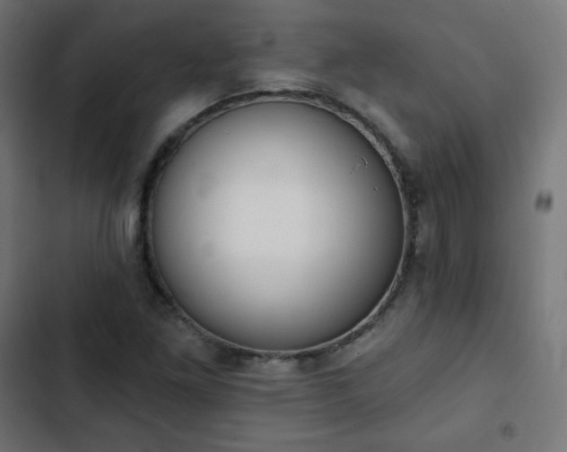 X0000103261261200809051435