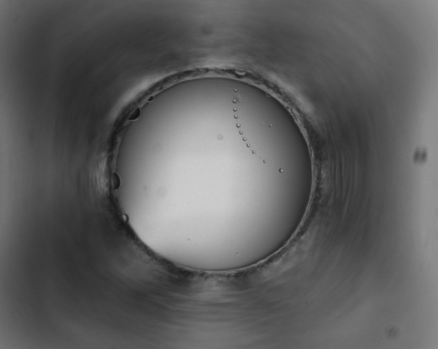 X0000103261262200809051435