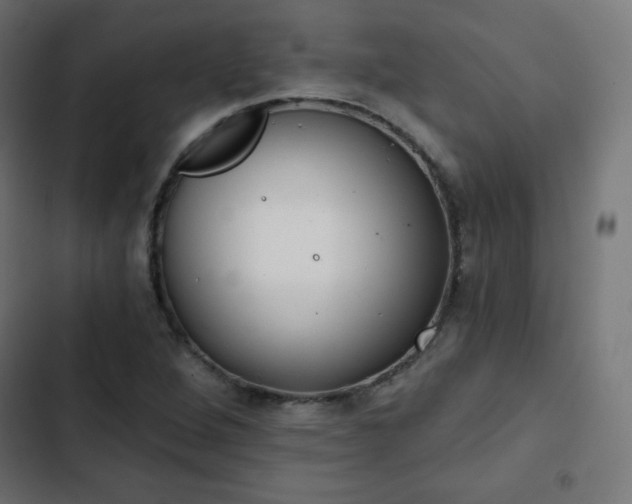 X0000103261264200809051435