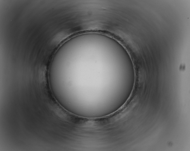 X0000103261265200809051435