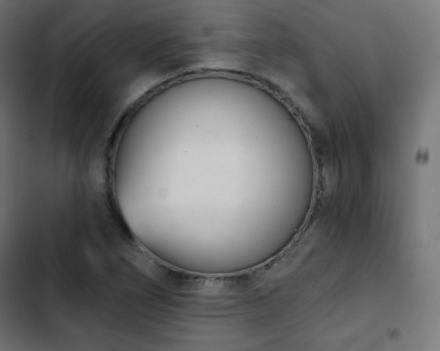 X0000103261266200809051435