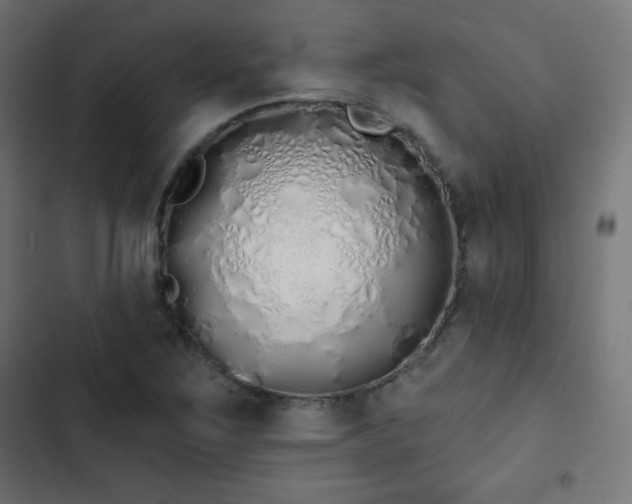 X0000103261267200809051435