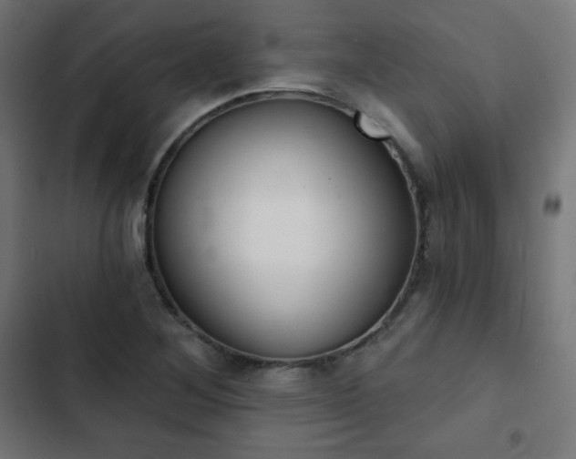 X0000103261268200809051435