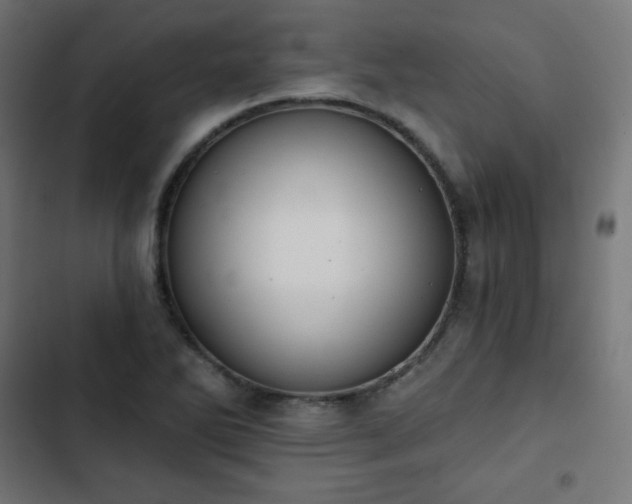 X0000103261270200809051435