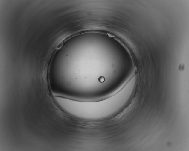 X0000103261273200809051435