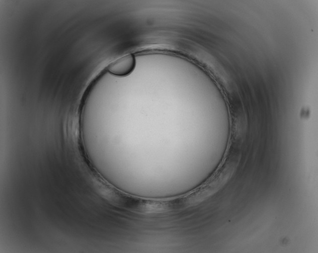 X0000103261274200809051435