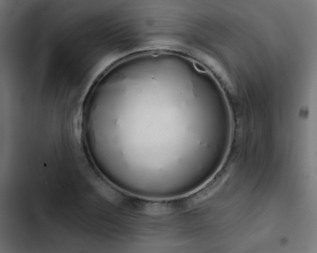 X0000103261275200809051435