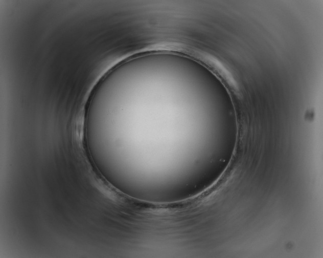 X0000103261276200809051435