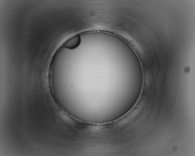 X0000103261278200809051435