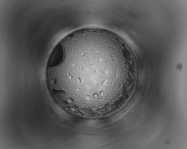 X0000103261279200809051435