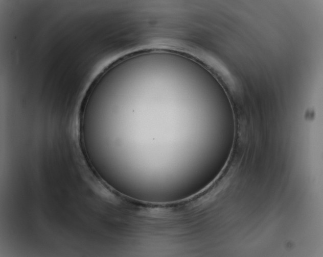 X0000103261280200809051435