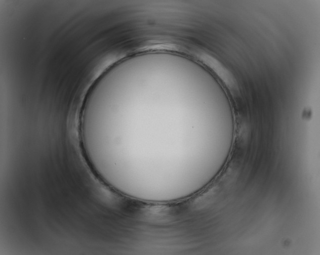 X0000103261282200809051435