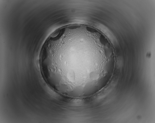 X0000103261283200809051435