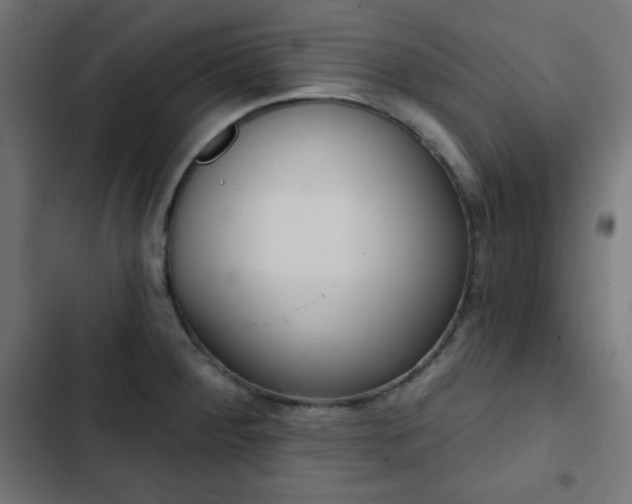 X0000103261284200809051435