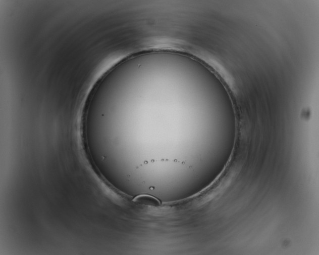 X0000103261285200809051435