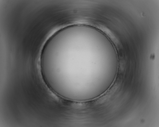 X0000103261286200809051435