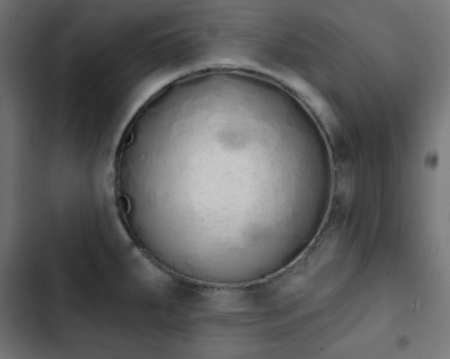 X0000103261287200809051435